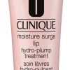 Soin Clinique Soin Levres | Clinique Moisture Surge Lip Soin Levre Hydro-Pulpant