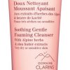 Soin Clarins Demaquillant / Nettoyant | Clarins Doux Nettoyant Moussant Apaisant Peaux Tres Seches Ou Sensibles