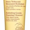 Soin Clarins Demaquillant / Nettoyant | Clarins Doux Nettoyant Moussant Hydratant Peaux Normales A Seches