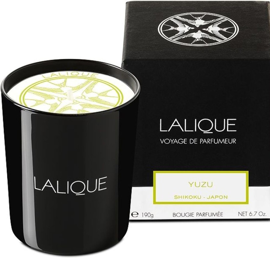 Parfum Femme Lalique Bougie | Lalique Yuzu Shikoku Japon Bougie